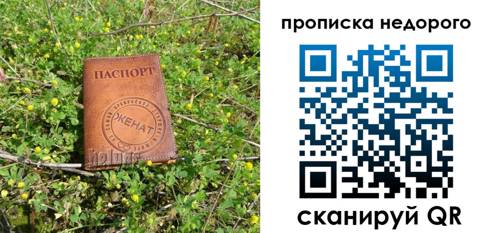 регистрация для дет. сада в Луге